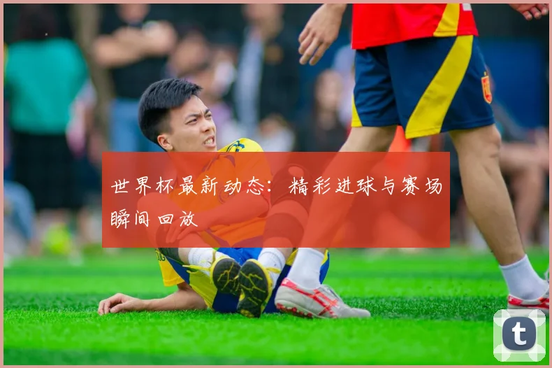 世界杯最新动态：精彩进球与赛场瞬间回放