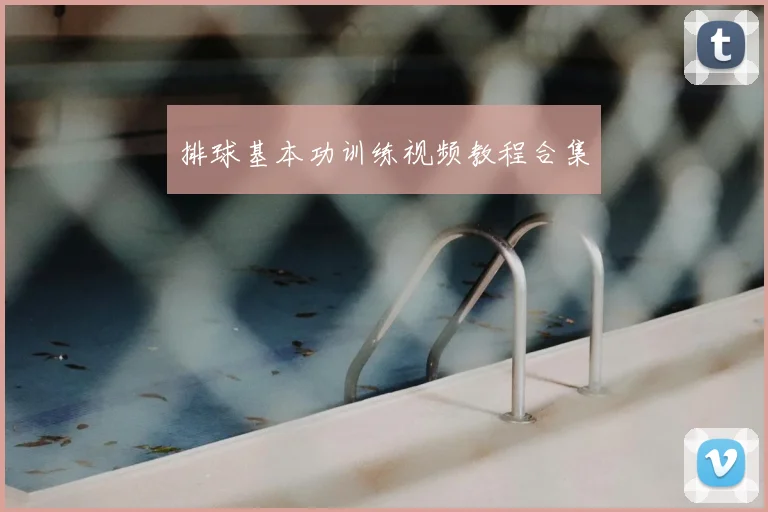 排球基本功训练视频教程合集